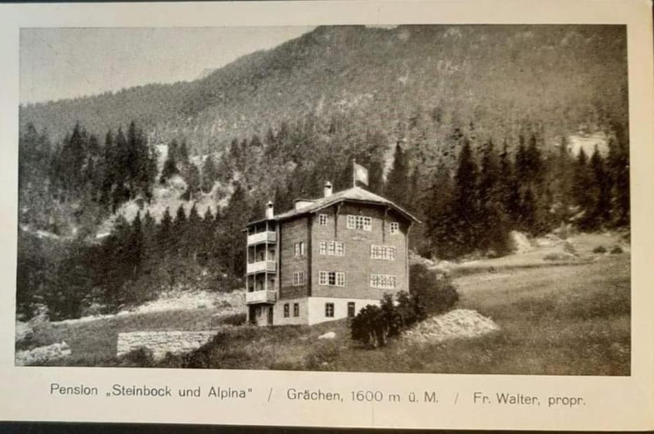 Hotel Alpina Grachen Exterior photo